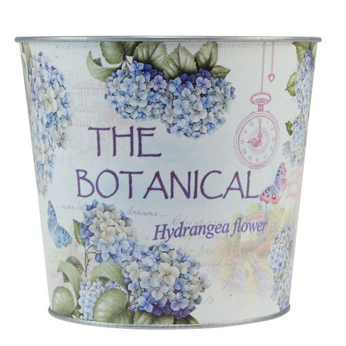 Hortenzijų sodintuvas metalinis gėlių vazonas Ø21cm H18cm