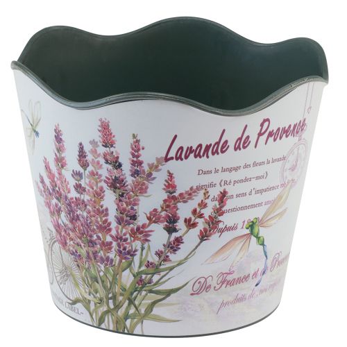 daiktų Sodintuvas plastikinis gėlių vazonas vasaros levandų Ø16,5cm H13,5cm