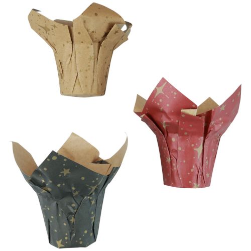 Floristik24 Popierinės sodinamosios žvaigždės raudonos/antracito/natūralios Ø12cm H12cm 9vnt.