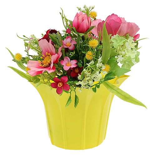 Floristik24 Plastikinis kachetas, asorti Ø14cm 10vnt