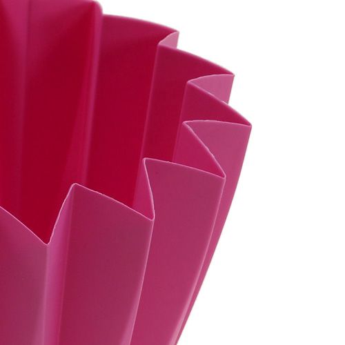 Floristik24 Repot Adonis Azalea 14cm 20 vnt