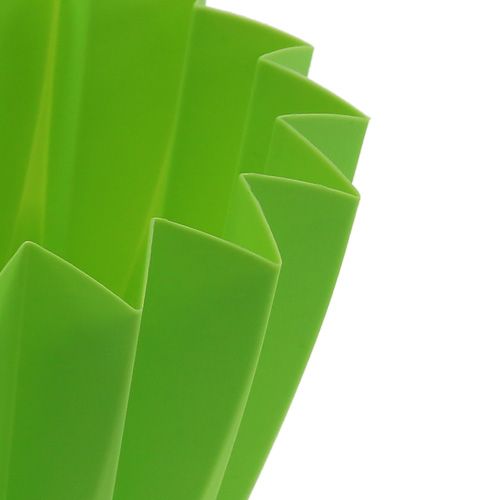 Floristik24 Vazonas Adonis Green 14cm 20 vnt