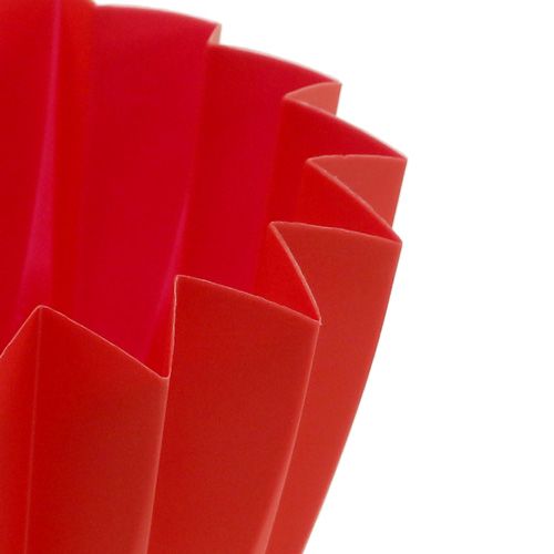 Floristik24 Puodas Adonis Red 14cm 20 vnt