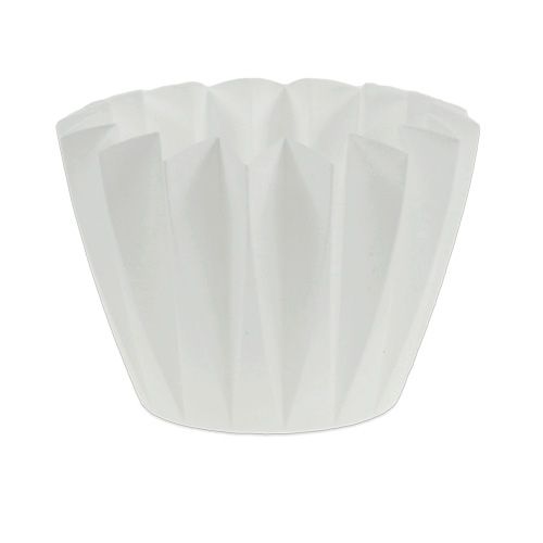 Floristik24 Puodas Adonis baltas 14cm 20 vnt