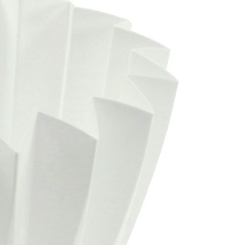 Floristik24 Puodas Adonis baltas 14cm 20 vnt