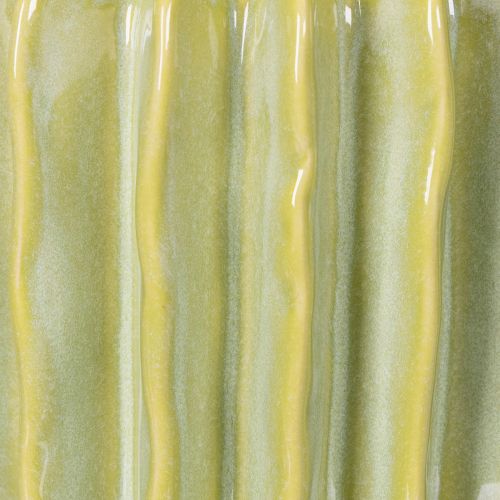 daiktų Kaktuso vazonas, idealus dubuo egzotiškiems namų akcentams, 16 cm