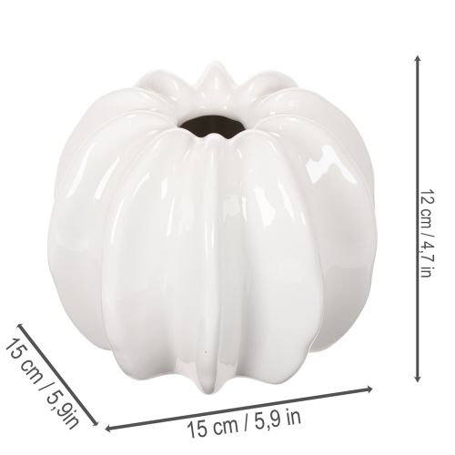 Moliūgų keraminė vaza, balta, namų dekoracija, 15 cm | Floristik24.lt