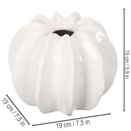 Dekoratyvinė moliūgų vaza, blizgi, rudens dekoracija svetainei, 19 cm | Floristik24.lt