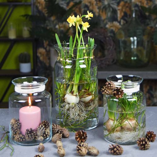 daiktų Stiklinė vaza, dekoratyvinė vaza, žvakių stiklas Ø15,5cm H28cm
