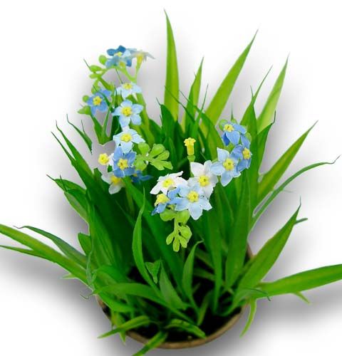 Floristik24 Neužmirštuolė su žole ir dubuo 18cm
