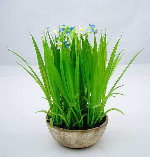 Floristik24 Neužmirštuolė su žole ir dubuo 18cm