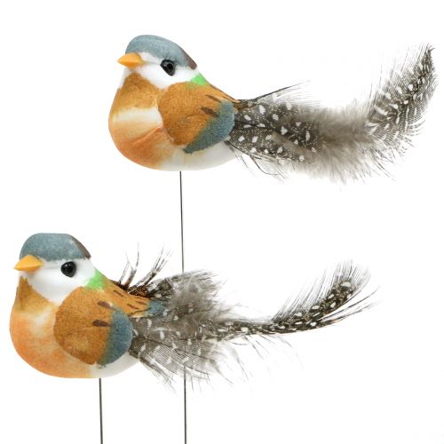 Floristik24 Mini paukščiukai ant vielos 8cm 12vnt