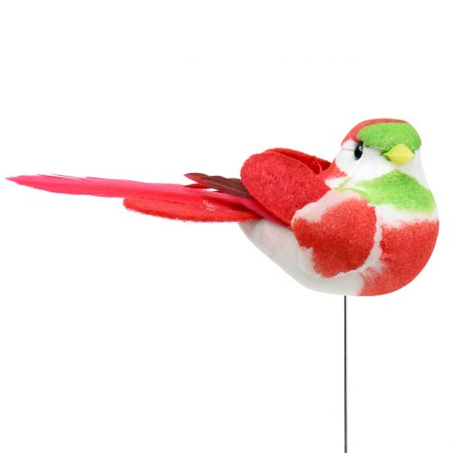 Floristik24 Paukščiai ant vielos spalvoti 8cm 12vnt