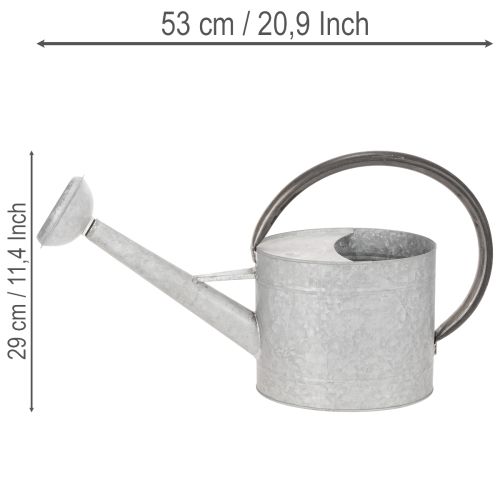 Vintažinė metalinė laistytuvė, sidabriškai pilka, stilinga sodo puošmena, gėlių vaza, ilgis 53 cm, aukštis 29 cm | Floristik24.lt