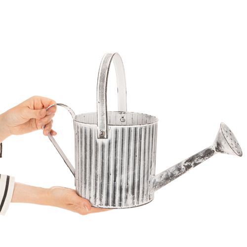 Vintažinis vazonas Ø17cm, dekoratyvinė laistytuvė, metalinis vazonas „shabby chic“ | Floristik24.lt