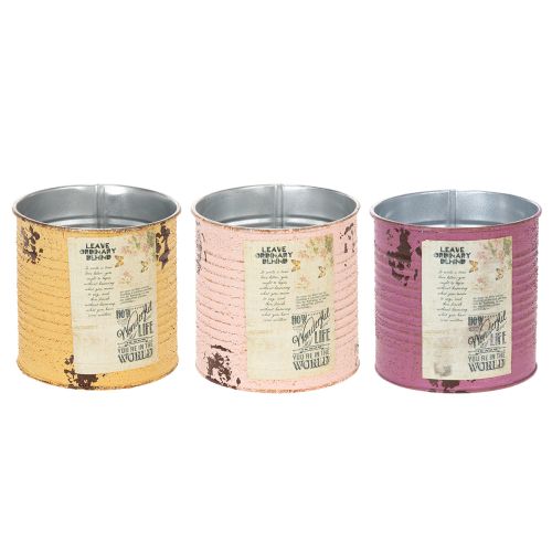 daiktų Vintažinio stiliaus gėlių vazonas/skardinė su užrašais vidaus dekoravimui, 11 cm, 3 vnt.