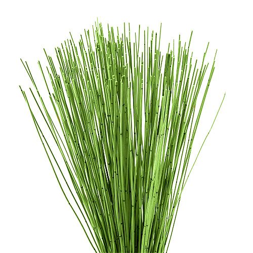 Floristik24 Vlei Reed 400g šviesiai žalia