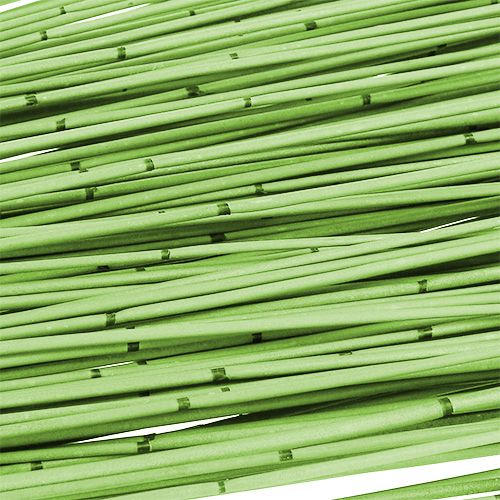 Floristik24 Vlei Reed 400g šviesiai žalia