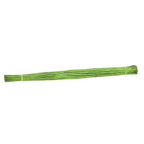 Floristik24 Vlei Reed 400g šviesiai žalia