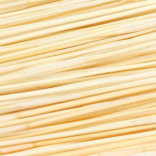 Floristik24 Vlei Reed 400g balinta