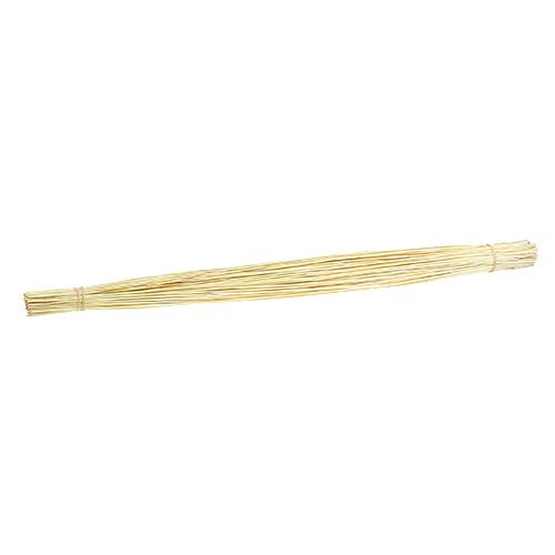 Floristik24 Vlei Reed 400g balinta