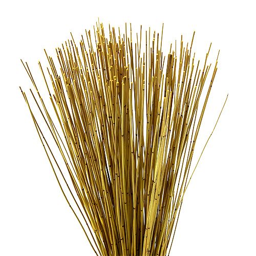 Floristik24 Vlei Reed 400g geltona