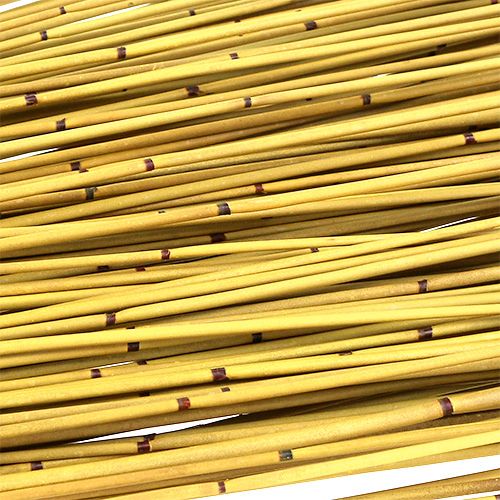 Floristik24 Vlei Reed 400g geltona