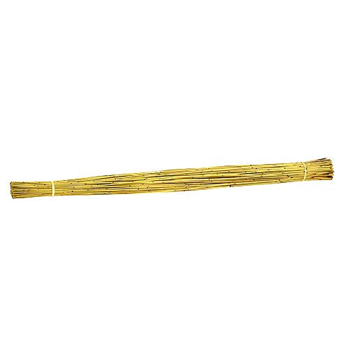 Floristik24 Vlei Reed 400g geltona