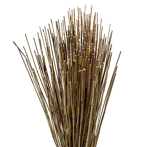 Floristik24 Vlei Reed 400g natūralus