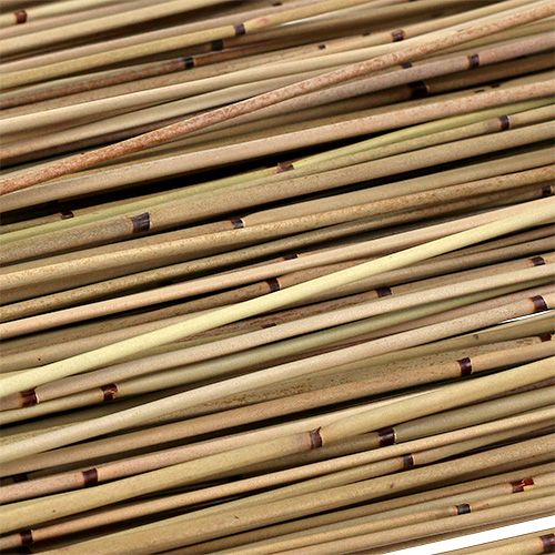 Floristik24 Vlei Reed 400g natūralus