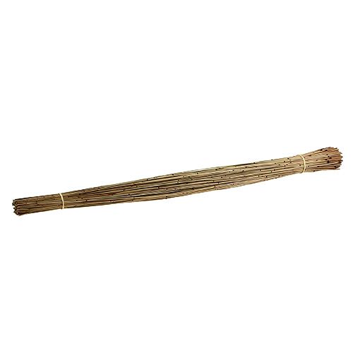 Floristik24 Vlei Reed 400g natūralus