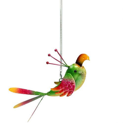 Floristik24 Pakabinamas paukštis žalias, rožinis, oranžinis 18,5 cm