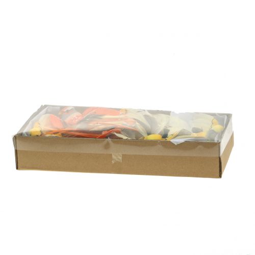 Floristik24 Paukštis ant vielos ruda/oranžinė 14cm 12vnt