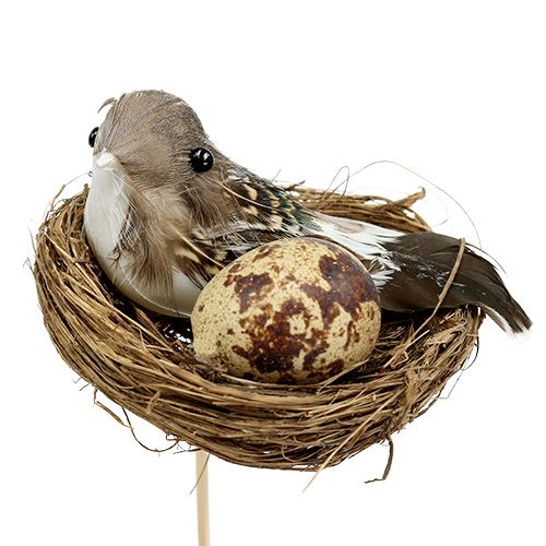 Floristik24 Paukščio lizdas ant pagaliuko Ø7cm L24cm 6vnt
