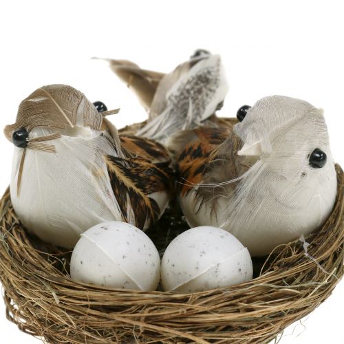 daiktų Paukščio lizdas su kiaušiniais ir paukščiu 6vnt