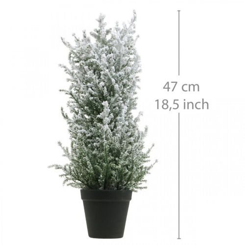 daiktų Dirbtinis kadagys vazone apsnigtas dirbtinis augalas H47cm
