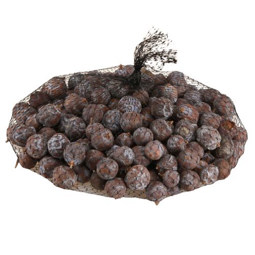 Floristik24 Kadagio kankorėžiai Sirijos kadagio natūralus Ø1,5–2,5cm 1kg