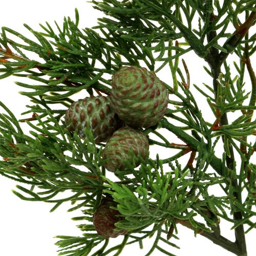 Floristik24 Kadagio šakelė su kūgiais žalia 39cm 3vnt