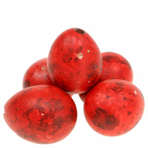 Putpelių kiaušiniai Red Blown Eggs 50 vnt