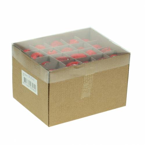 Floristik24 Putpelių kiaušiniai Red Blown Eggs 50 vnt