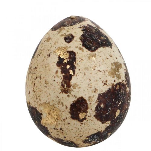 Floristik24 Putpelių kiaušiniai Deco Blown Eggs Nature/Gold 3cm 12vnt