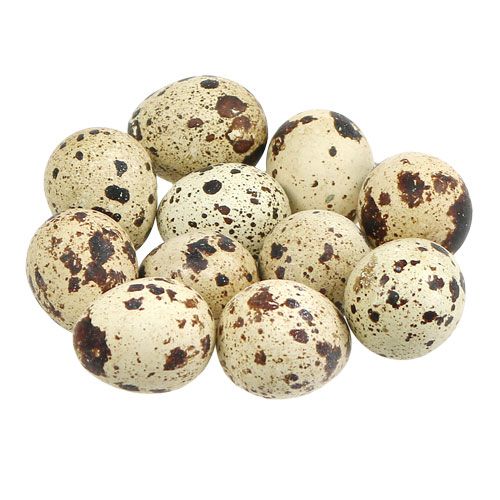 Floristik24 Putpelių kiaušiniai natūralūs 3-3,5cm 12vnt