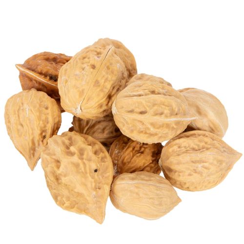 Graikiniai riešutai dekoravimui, natūralus produktas, 3-4 cm, 300 g pirkti | Floristik24.lt