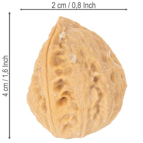 Graikiniai riešutai dekoravimui, natūralus produktas, 3-4 cm, 300 g | Floristik24.lt