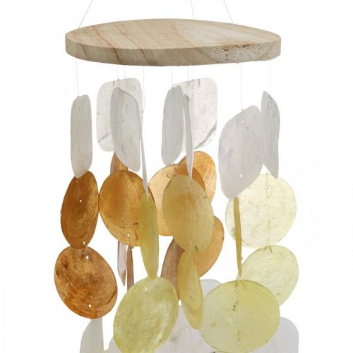 Floristik24 Vėjo varpeliai su capiz kriauklėmis, natūrali apdaila, korpusas mobilus L85cm Ø13cm