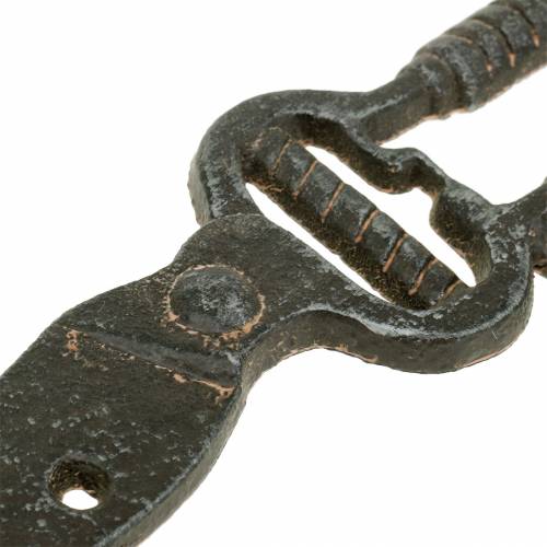 Floristik24 Kablio bėgelio sekatoriai tamsiai rudi 25cm x 15cm