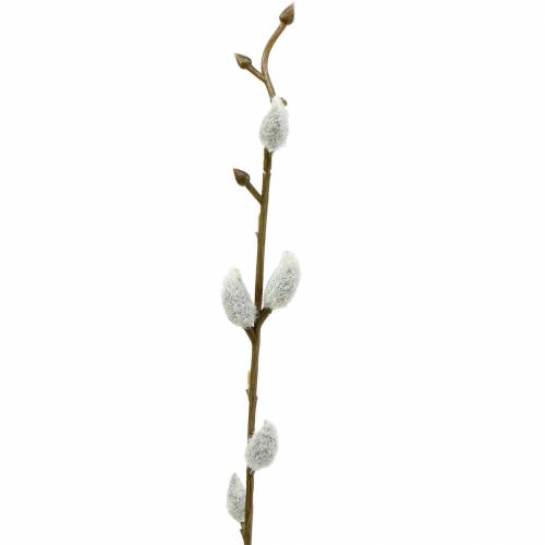 Floristik24 Pūlinga gluosnio kekė L54cm 3vnt