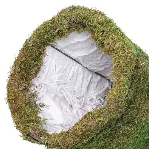 daiktų Eglutės samanų puošmena žalios spalvos natūrali Ø30cm H100cm