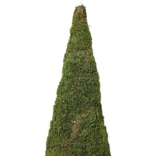 daiktų Eglutės samanų eglutės puošmena žalia natūrali Ø25cm H70cm