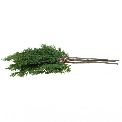 Floristik24 Kalėdinės šakelės kipariso deko šakelės kipariso šakelės 50cm 4vnt